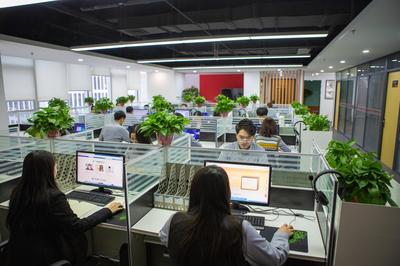 新起点，新征程 顺势智能教育集团扬帆再启航——基于经济信息咨询的思考